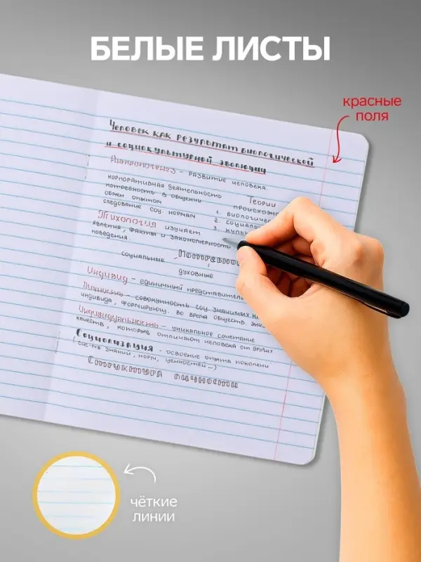 Комплект тетрадей из 10 штук, 18 листов в линию Calligrata "Домашние животные", обложка мелованный картон, ВД-лак, блок офсет, 5 видов по 2 штуки