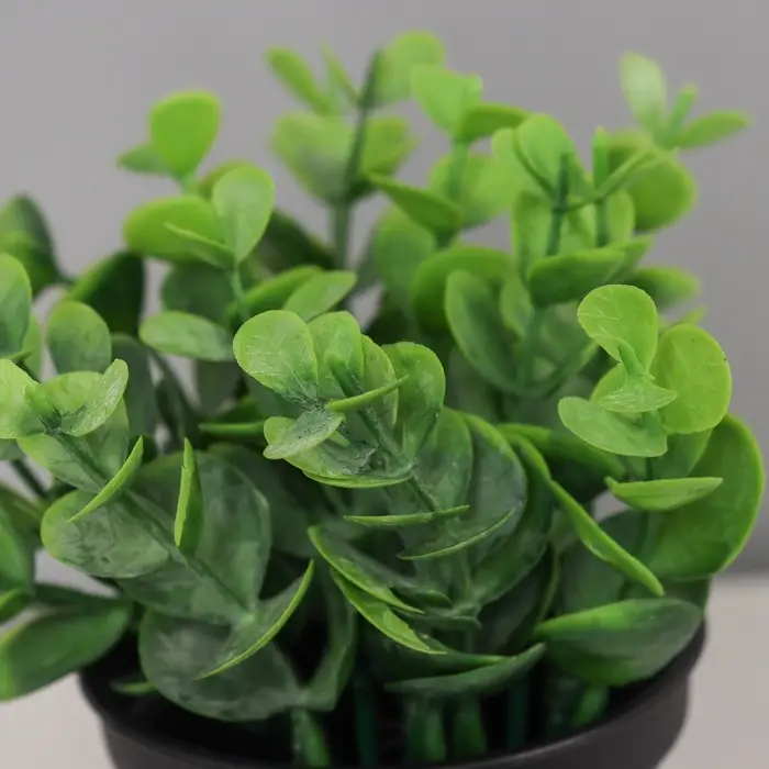 Искусственный цветок в горшке &laquo;Ива бойда мини&raquo;, 7&times;11 см, зелёный