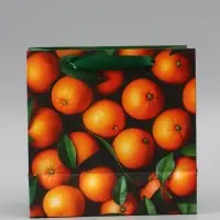 Пакет подарочный &laquo;С Новым годом&raquo;, мандарины, 22&times;22&times;11 см