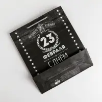 Пакет подарочный ламинированный, упаковка, &laquo;С 23 февраля&raquo;, ML 23&times;27&times;11.5 см