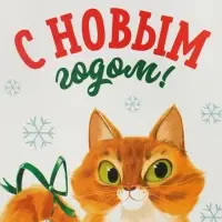 Пакет подарочный новогодний крафтовый «С Новым годом», 15 х 10 х 6 см Пакет подарочный новогодний крафтовый «С Новым годом», 15 х 10 х 6 см