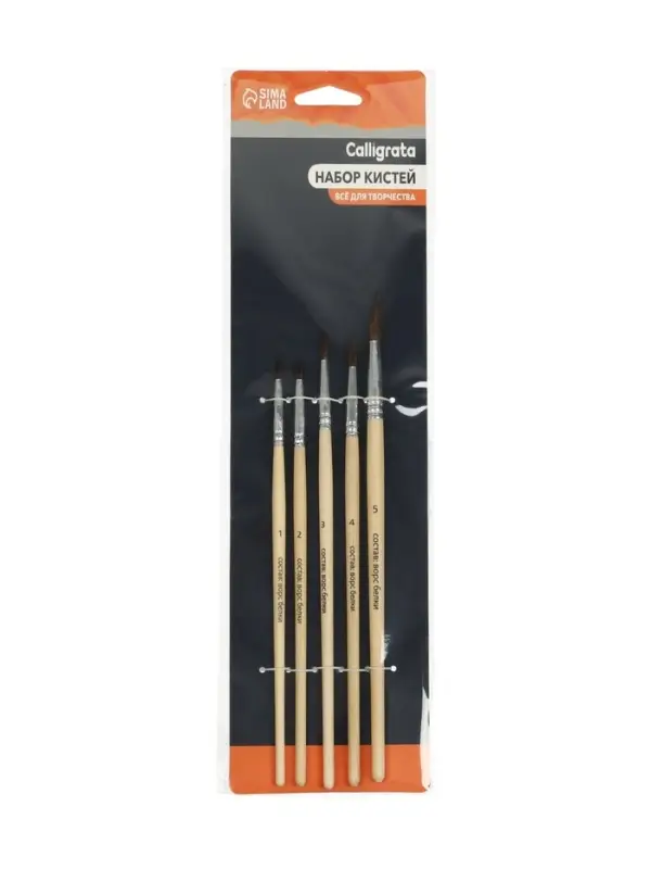 Набор кистей для рисования, белка, 5 штук: № 1, 2, 3, 4, 5, круглые, деревянная ручка, международный размер