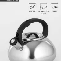 Чайник Доляна &laquo;Квант&raquo;, 2.8 л, со свистком, фиксированная ручка, нержавеющая сталь, хромированный