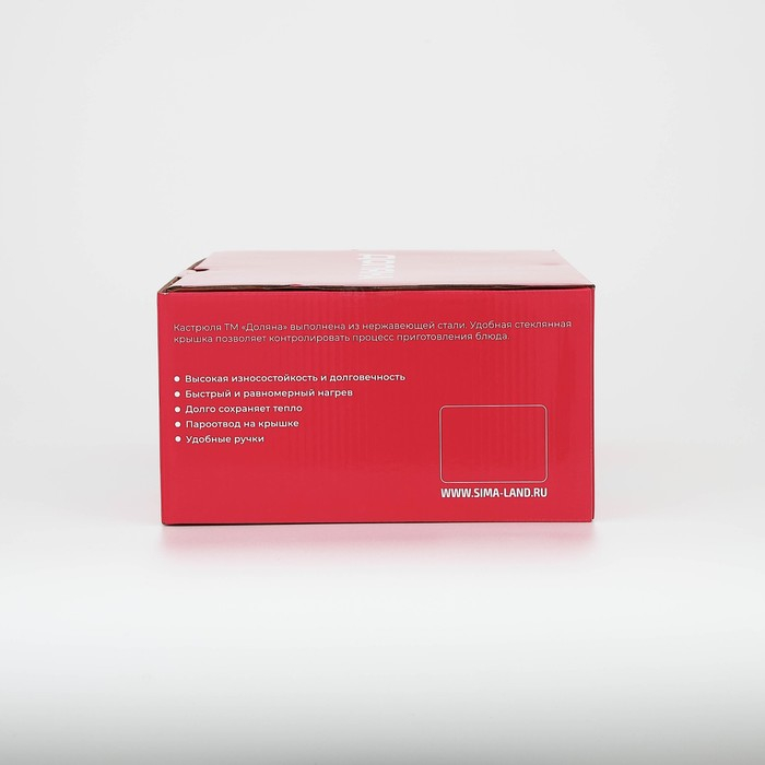 Кастрюля из нержавеющей стали Доляна «Гретте», 3,2 л, d=20 см, с крышкой, капсульное дно, индукция Кастрюля из нержавеющей стали Доляна «Гретте», 3,2 л, d=20 см, с крышкой, капсульное дно, индукция