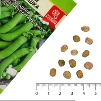 Семена Горох &laquo;Сахарная Вкусняшка&raquo;, среднепоздний, 10 г, &laquo;Семена Алтая&raquo;