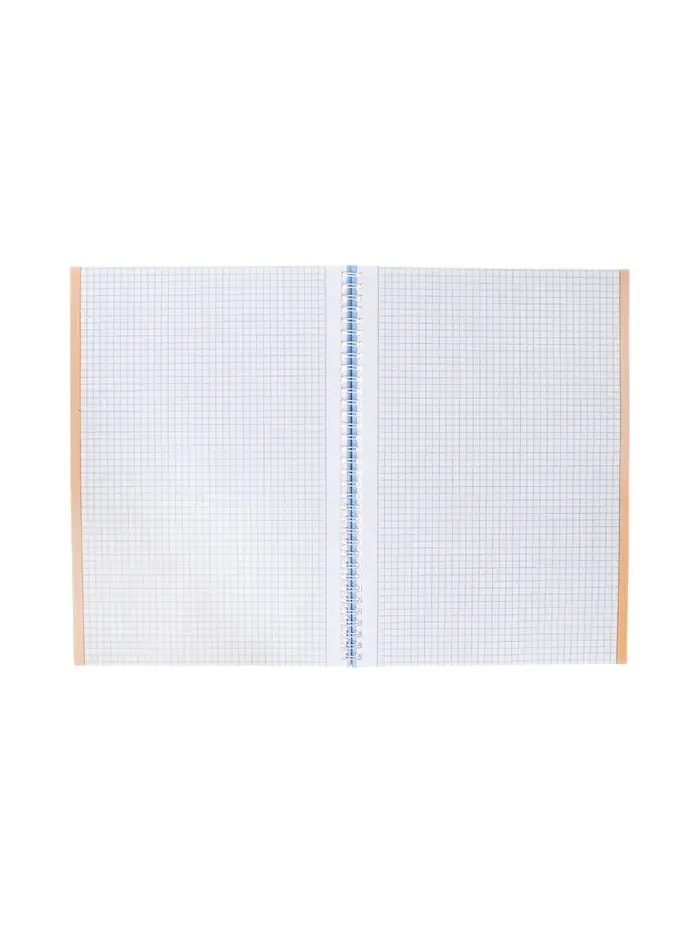 Тетрадь 80 листов в клетку Hatber &laquo;Скобочки&raquo;, на гребне, ламинация Soft-touch, перфорация на отрыв, цветной срез, блок офсет 60-65 г/м&sup2;, МИКС 2 вида