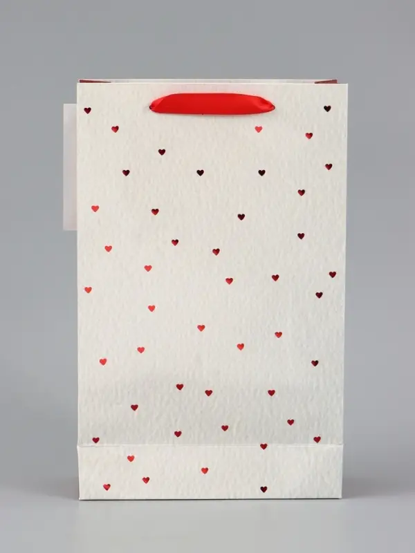 Пакет ламинированный &laquo;Важный момент&raquo;, 22.3&times;9&times;35 см