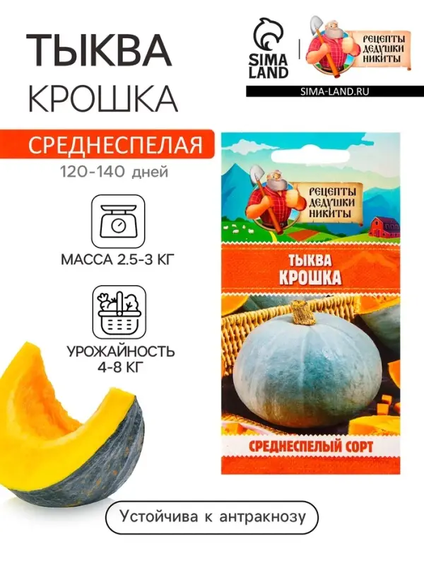 Семена Тыква  Семена Тыква "Крошка", 1 г