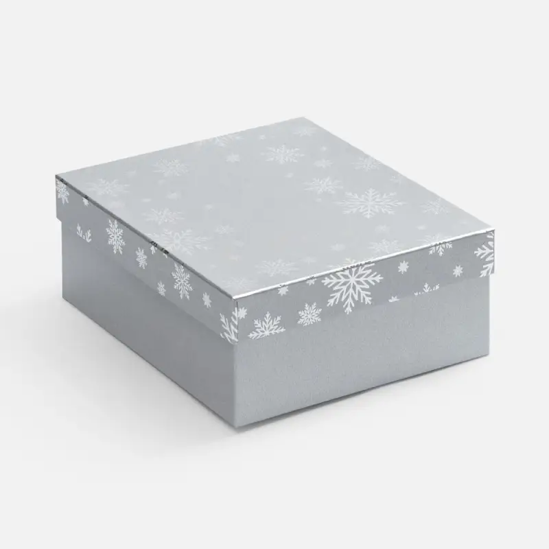 Коробка Wintry, серебристая