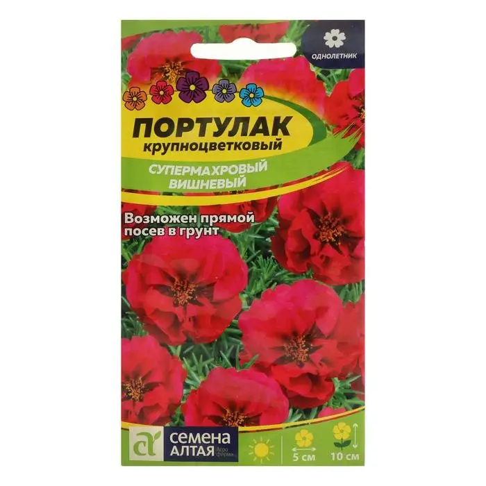 Семена цветов Портулак  Семена цветов Портулак "Супермахровый", вишневый, Сем. Алт, ц/п, 0,1 г