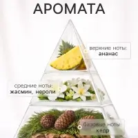 Наполнитель для ароматического диффузора XO The Glow, 100 мл