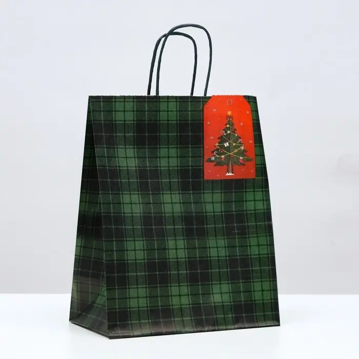 Пакет подарочный новогодний крафт «Зелёная клеточка» 22×12×27 см Пакет подарочный новогодний крафт «Зелёная клеточка» 22×12×27 см