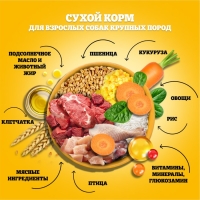 Сухой корм Pedigree для собак крупных пород, говядина, 13 кг