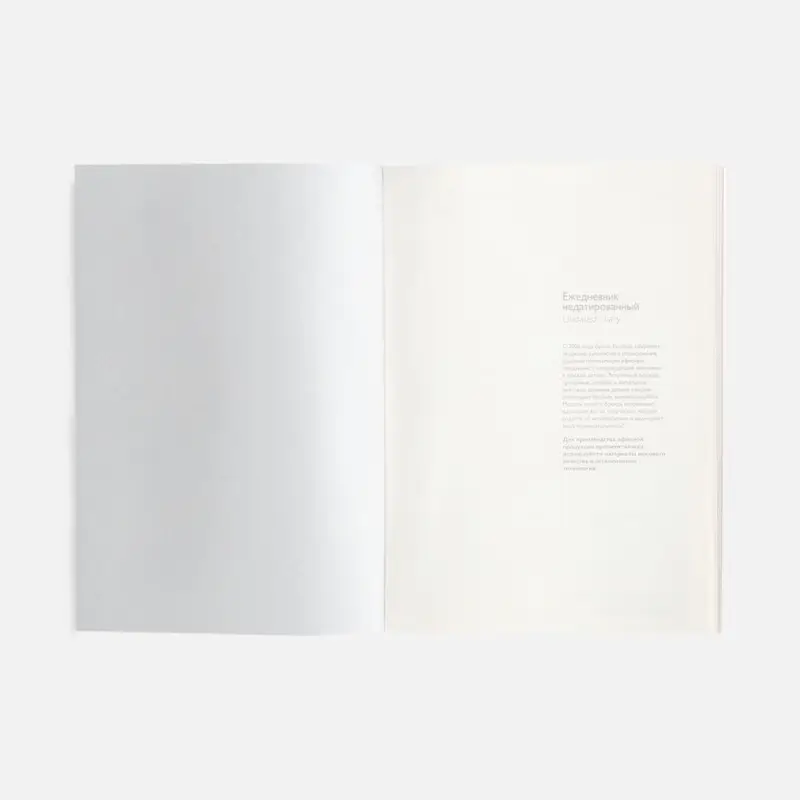 Ежедневник Repute, недатированный, серый Ежедневник Repute, недатированный, серый