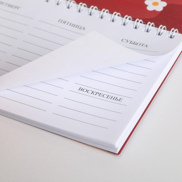 Планинг прямоугольный тонкий картон «Воспитателю: Наш любимый воспитатель» 50 листов Планинг прямоугольный тонкий картон «Воспитателю: Наш любимый воспитатель» 50 листов