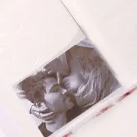 Фотоальбом на 200 фото &laquo;Цветущая вишня&raquo;, 10&times;15 см, 17.5&times;5.2&times;23 см, белый