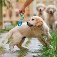 Игрушка жевательная с канатом &laquo;Кусочек солнца&raquo;, 8 см, голубая