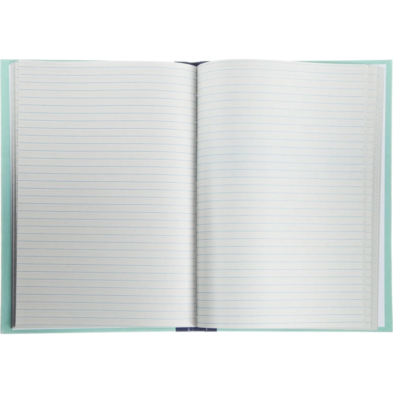 Книга учета амбарная в линейку 96л.обл.плотн.картон г/б