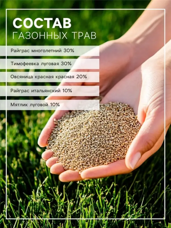 Газон Спортивный &laquo;Зеленый квадрат&raquo;, 0.3 кг