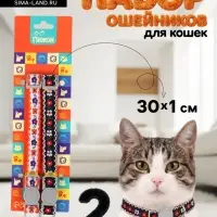 Набор ошейников для кошек &laquo;Пижон. По-полюшку&raquo;, 30&times;1 см, оранжевый, чёрный