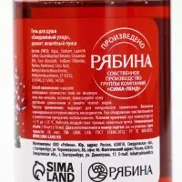 Подарочный набор новогодний в санях: 2 геля для душа, соль для ванны и мочалка, URAL LAB Подарочный набор новогодний в санях: 2 геля для душа, соль для ванны и мочалка, URAL LAB