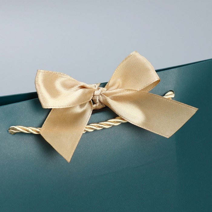 Пакет подарочный, упаковка, Present, 26 х 25 х 11 см Пакет подарочный, упаковка, Present, 26 х 25 х 11 см