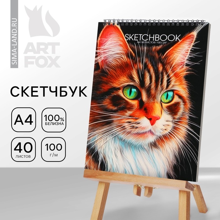 Скетчбук А4, 40 л. 100 г/м «Кот» Скетчбук А4, 40 л. 100 г/м «Кот»