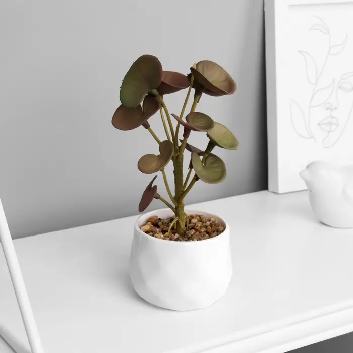 Искусственный цветок в горшке &laquo;Пеперомия люкс&raquo; (мягкий лист), 13&times;6 см, МИКС