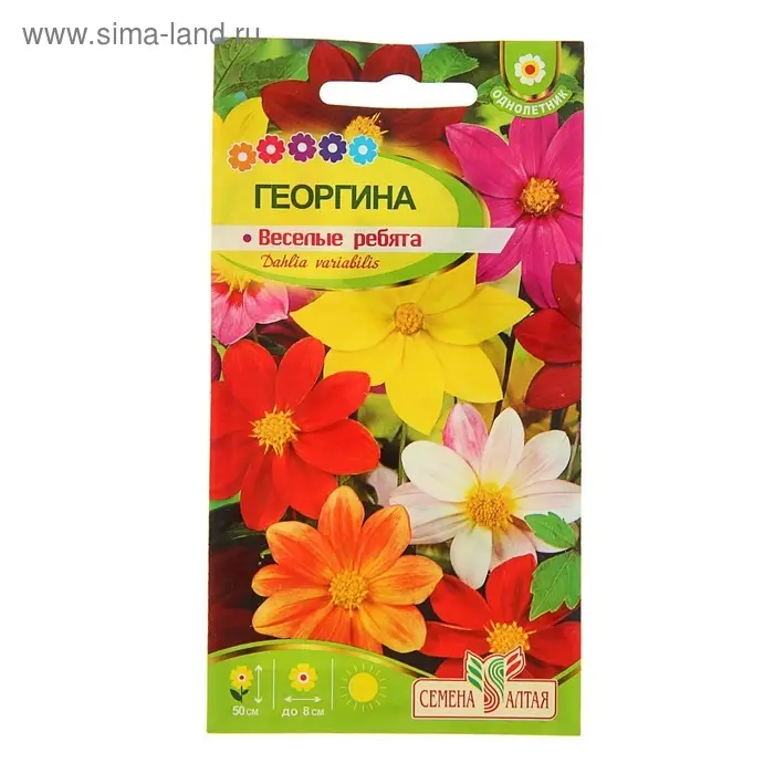 Семена цветов Георгина  Семена цветов Георгина "Веселые Ребята", ц/п,  О, 0,2 г.
