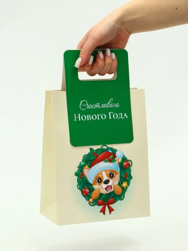 Пакет подарочный с вырубной ручкой «Новогодний корги» 18×23×9 см, зеленый Пакет подарочный с вырубной ручкой «Новогодний корги» 18×23×9 см, зеленый