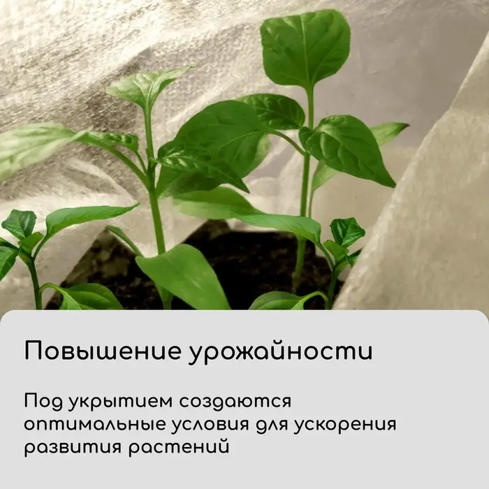 Материал укрывной, 20&times;3.2 м, плотность 42 г/м&sup2;, спанбонд с УФ-стабилизатором, белый, Greengo, Эконом 30%