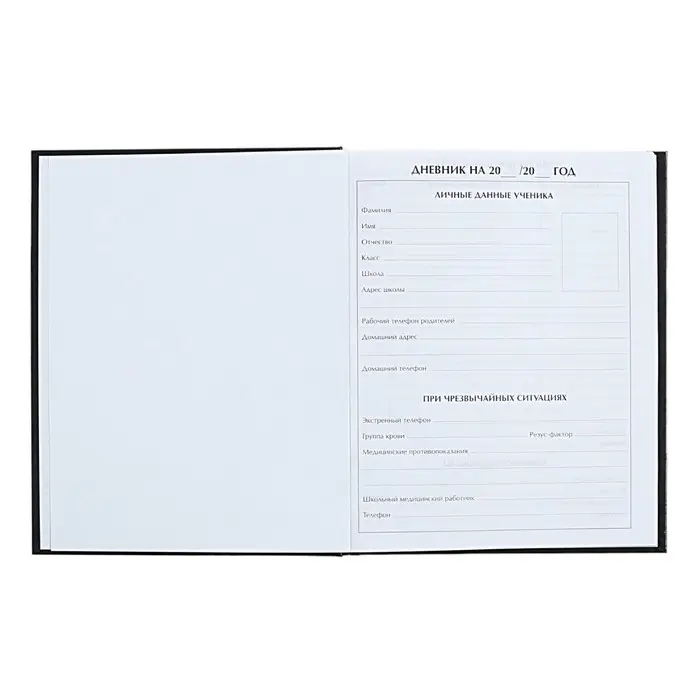 Дневник универсальный для 1-11 классов "Я ГУСЬ - НА ОТЛИЧНО УЧУСЬ!", твёрдая обложка, глянцевая ламинация, 40 листов