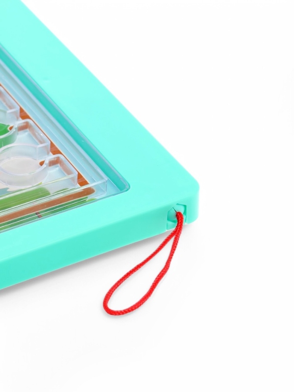 Развивающий набор Развивающий набор "Магнитный сортер"