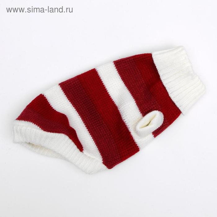 Свитер, размер 10 (ДС 30-45, ОШ 16-31, ОГ 30-45 см), микс расцветок Свитер, размер 10 (ДС 30-45, ОШ 16-31, ОГ 30-45 см), микс расцветок