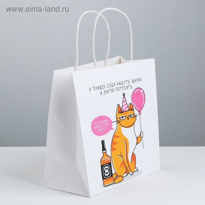 Пакет подарочный, упаковка, «Туса», 22 х 22 х 11 см Пакет подарочный, упаковка, «Туса», 22 х 22 х 11 см