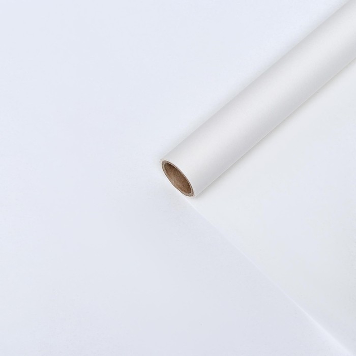 Бумага силиконизированная, без печати, для выпечки, 0,38 х 5 м Бумага силиконизированная, без печати, для выпечки, 0,38 х 5 м