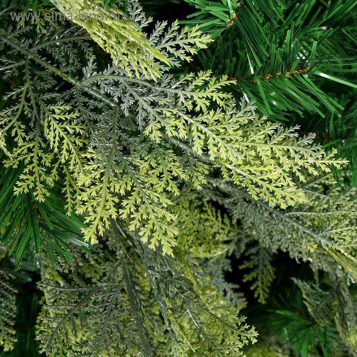 Ёлка Ёлка "Элит традиция" 240 см d нижнего яруса 155 см 1650 веток