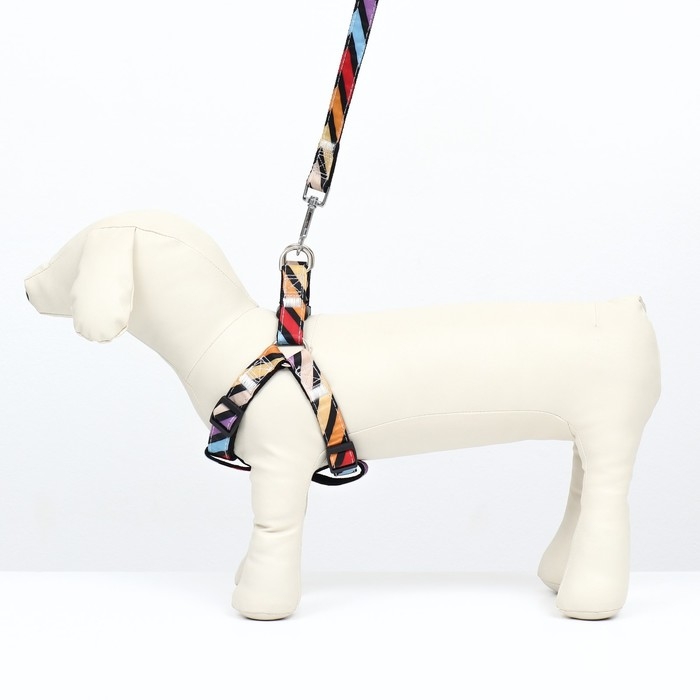 Комплект амуниции двухслойный, размер L, поводок 120 х 2 см, ОШ 31-45 см , ОГ 35-52 см, разноцветный Комплект амуниции двухслойный, размер L, поводок 120 х 2 см, ОШ 31-45 см , ОГ 35-52 см, разноцветный