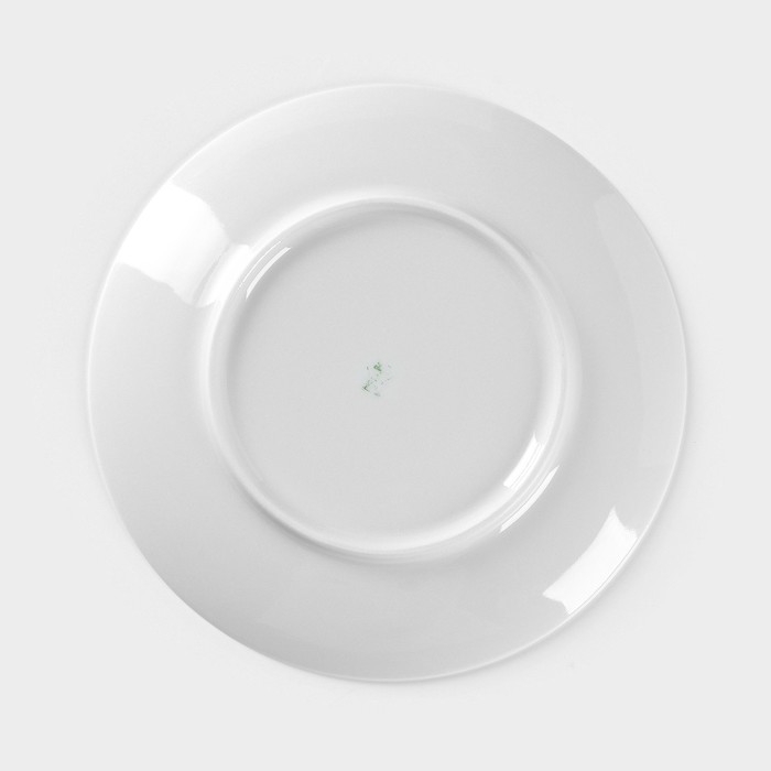 Тарелка фарфоровая «Ботаника. Мята», d=20 см, цвет белый Тарелка фарфоровая «Ботаника. Мята», d=20 см, цвет белый