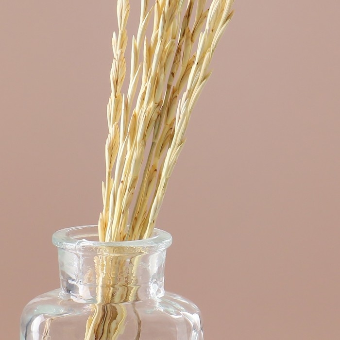 Набор сухоцветов Набор сухоцветов "Райграс", банч 10 шт, длина 25 (+/- 6 см), выбеленный