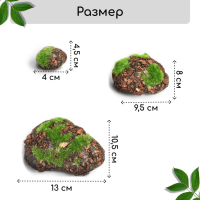 Мох искусственный «Камни», с корой, набор 6 шт., Greengo