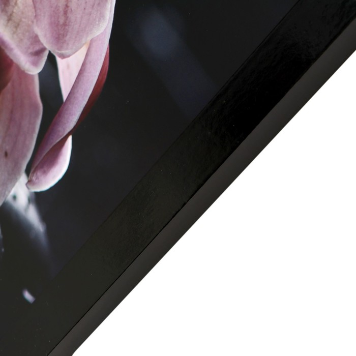 Картина  Картина "Цветы на камнях" 67х107 см рамка микс