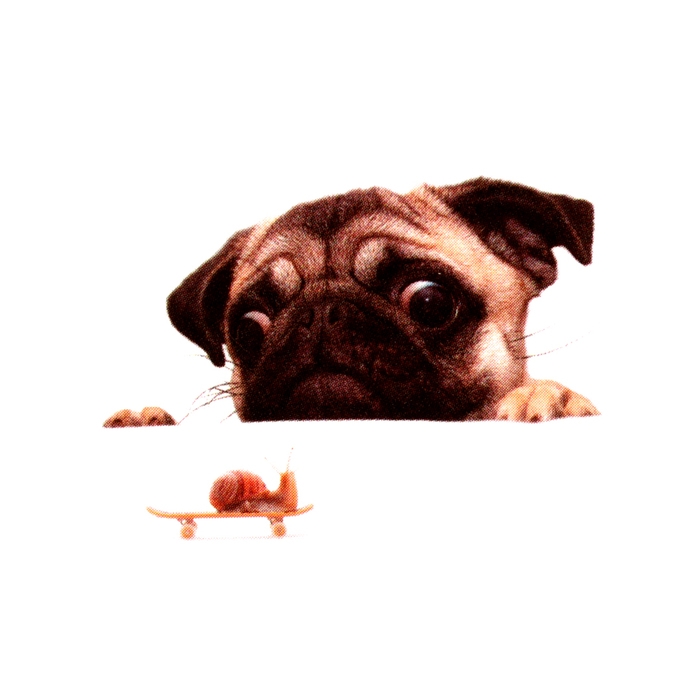 Наклейка 3Д интерьерная Собака 30*20см Наклейка 3Д интерьерная Собака 30*20см