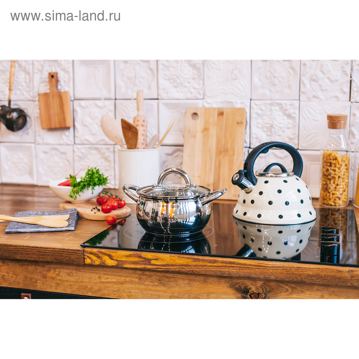 Чайник со свистком из нержавеющей стали Доляна «Горошек», 2,8 л, цвет айвори