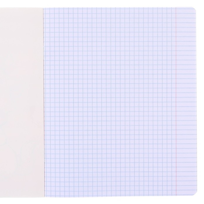 Набор тетрадей 10 штук, 12 листов, 1 сентября, в клетку, обложка мелованный картон, Минни Маус