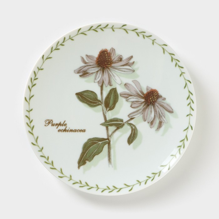 Тарелка фарфоровая «Ботаника», d=20 см Тарелка фарфоровая «Ботаника», d=20 см