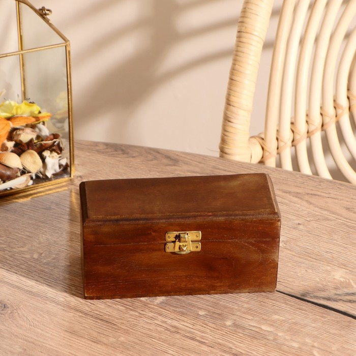 Сувенир Сувенир "Подзорная труба" в шкатулке (4х-кратное увеличение) 17х8х7 см