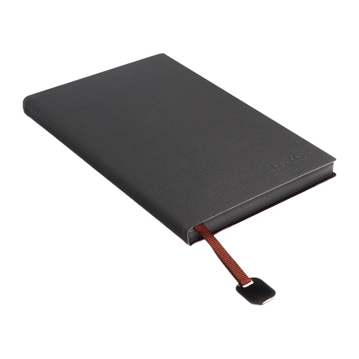 Ежедневник недатированный, формат А6+, 116 листов, клетка, ЛАЙТ Серый, тониров срез Ежедневник недатированный, формат А6+, 116 листов, клетка, ЛАЙТ Серый, тониров срез