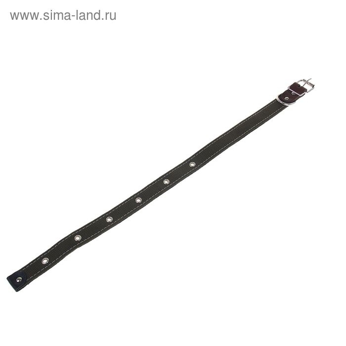 Ошейник брезентовый на фетре, 62 х 2,5 см, ОШ 30-55 см, тёмно-зелёный Ошейник брезентовый на фетре, 62 х 2,5 см, ОШ 30-55 см, тёмно-зелёный