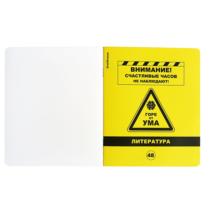 Тетрадь предметная ЛИТЕРАТУРА, 48 листов в линейку, ErichKrause Be Informed, пластиковая обложка, шелкография, блок офсет 100% белизна, инфо-блок Тетрадь предметная ЛИТЕРАТУРА, 48 листов в линейку, ErichKrause Be Informed, пластиковая обложка, шелкография, блок офсет 100% белизна, инфо-блок
